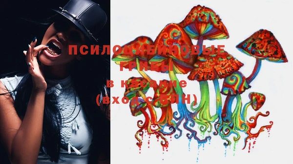 ALPHA PVP Армянск