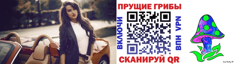 darknet какой сайт  Рыльск  Псилоцибиновые грибы мицелий 